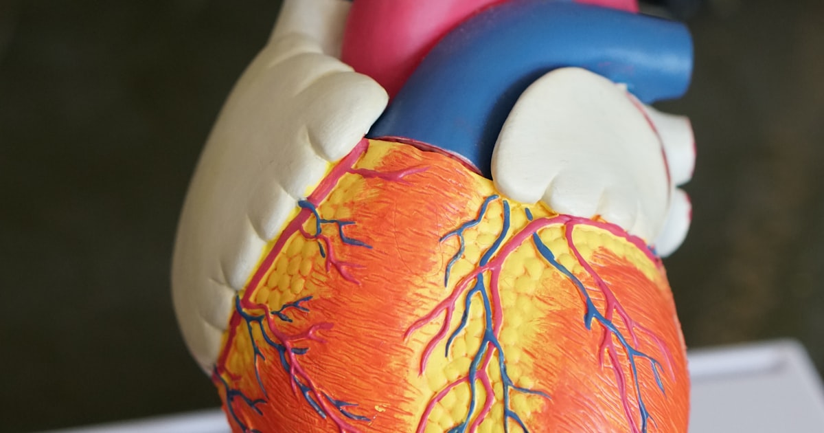 Biomedicina na Reprodução Humana Assistida: Carreira e Atuação Profissional